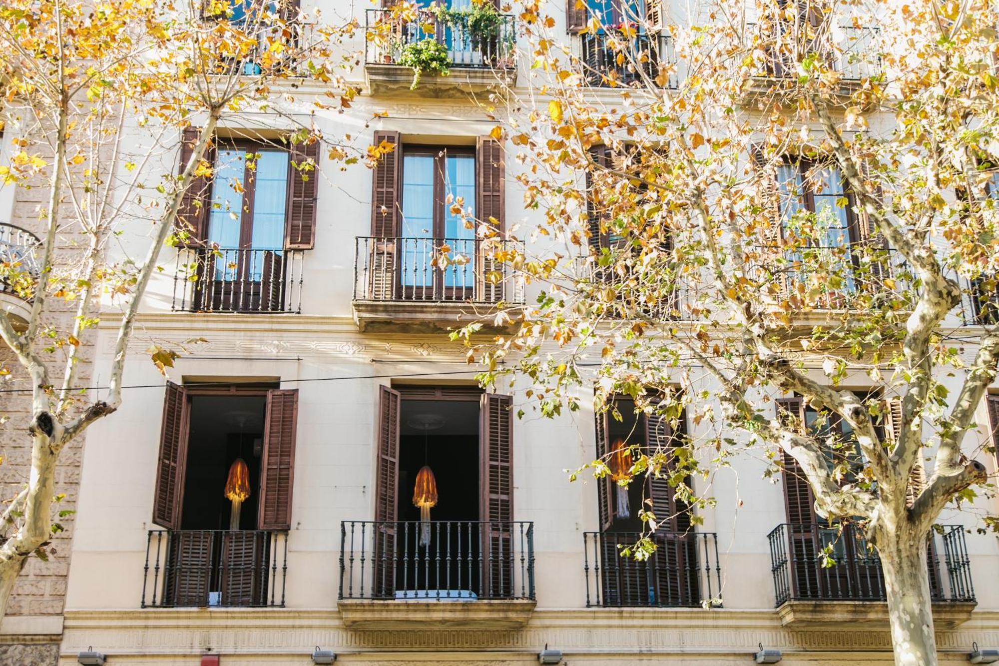 Zoorooms Boutique Guesthouse Barcelona Exterior foto